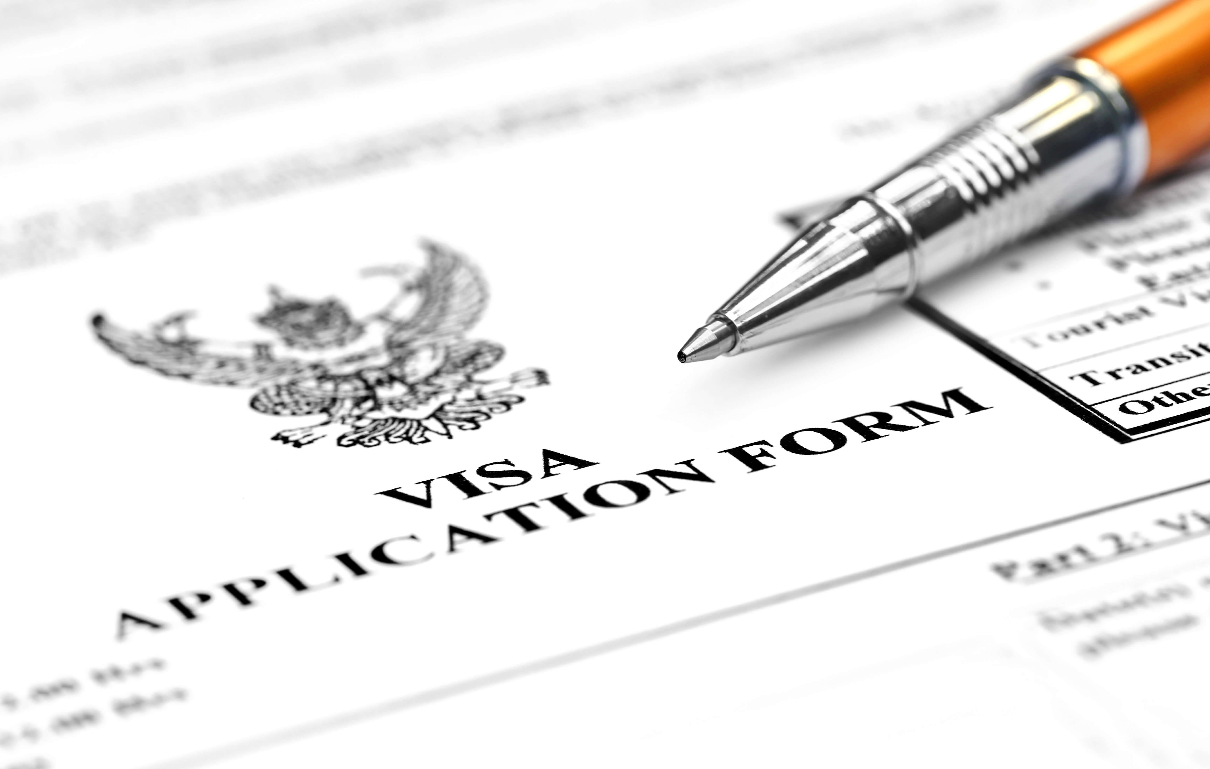 Visa Application Form LTR (1)-1