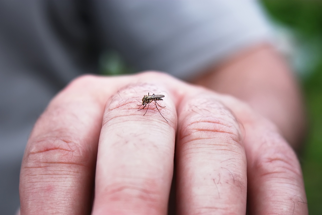 dengue-fever-thailand