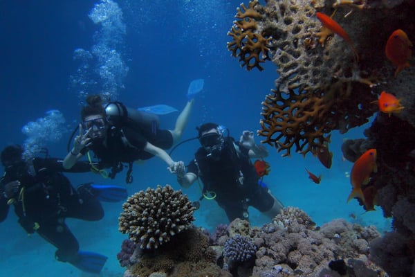 scuba diving instructor jobs